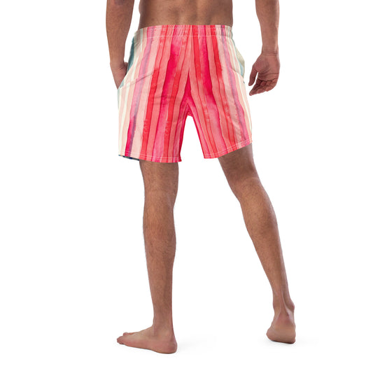Climate stripes swim trunks