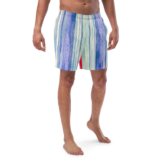 Climate stripes swim trunks