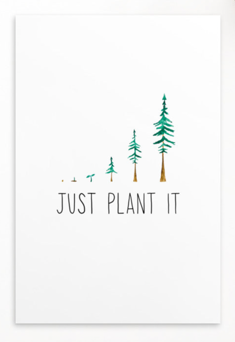 Just Plant It Postcard