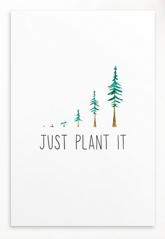 Just Plant It Postcard